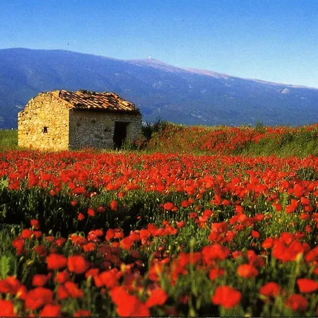 Charmante Maison De Village Au Coeur Du Luberon アパート