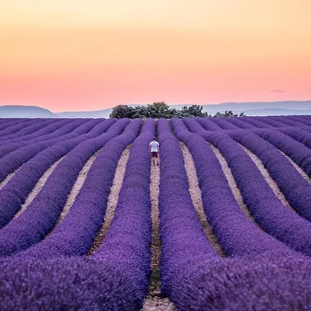 Charmante Maison De Village Au Coeur Du Luberon Pierrevert