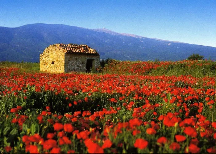 Charmante Maison De Village Au Coeur Du Luberon Apartment